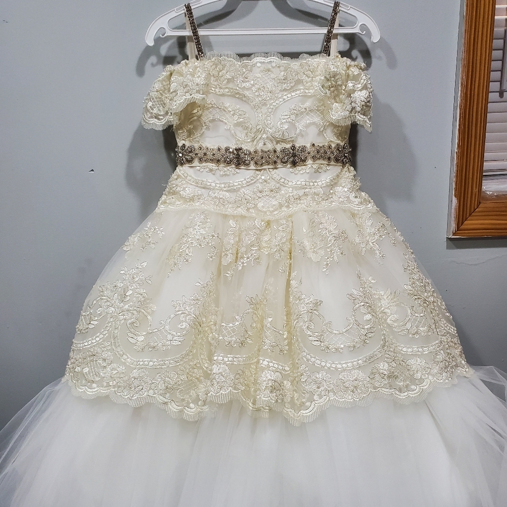 Communion/flower girl dress